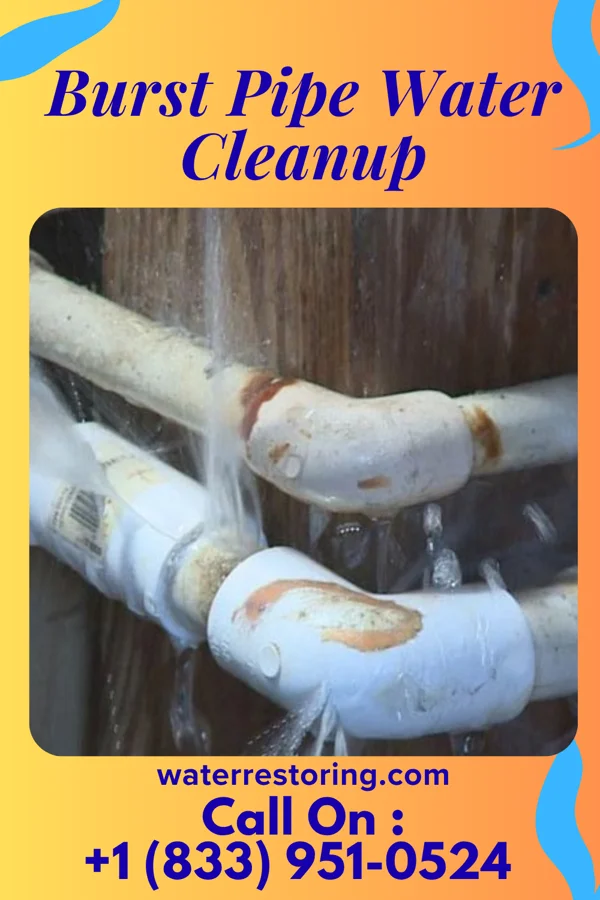Burst Pipe Water Cleanup in Eldorado, OH