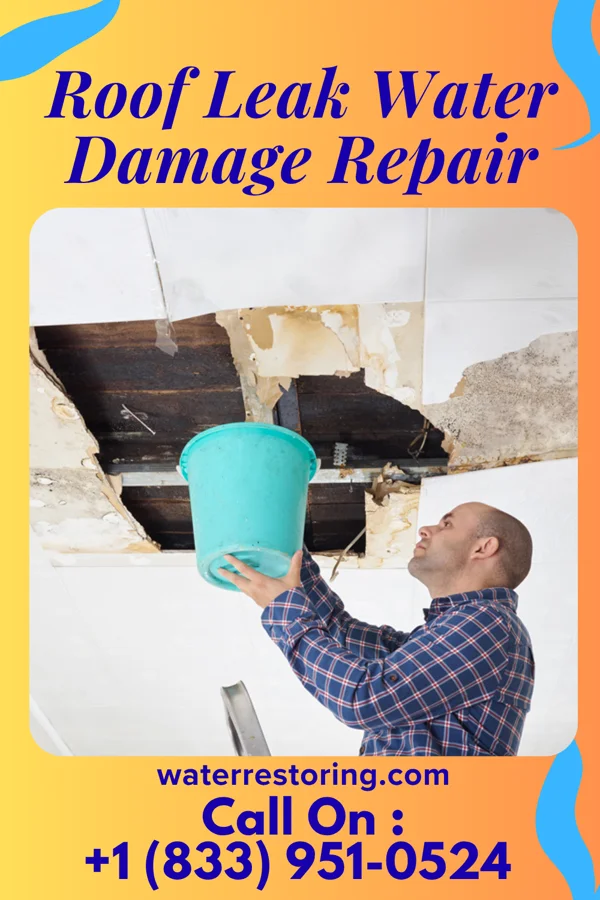 Roof Leak Water Damage Repair in Eldorado, OH