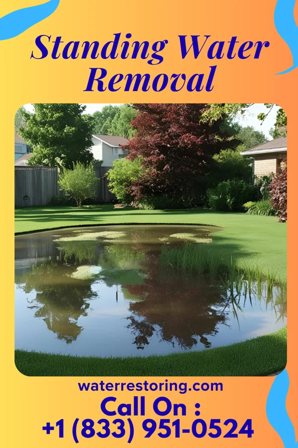 Standing Water Removal in Eldorado, OH